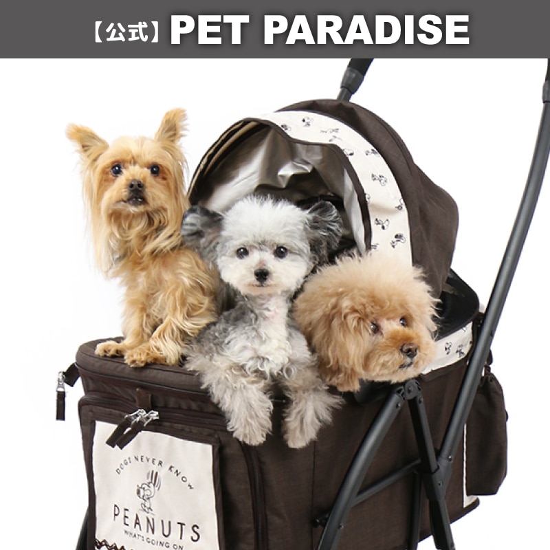 PET PARADISE