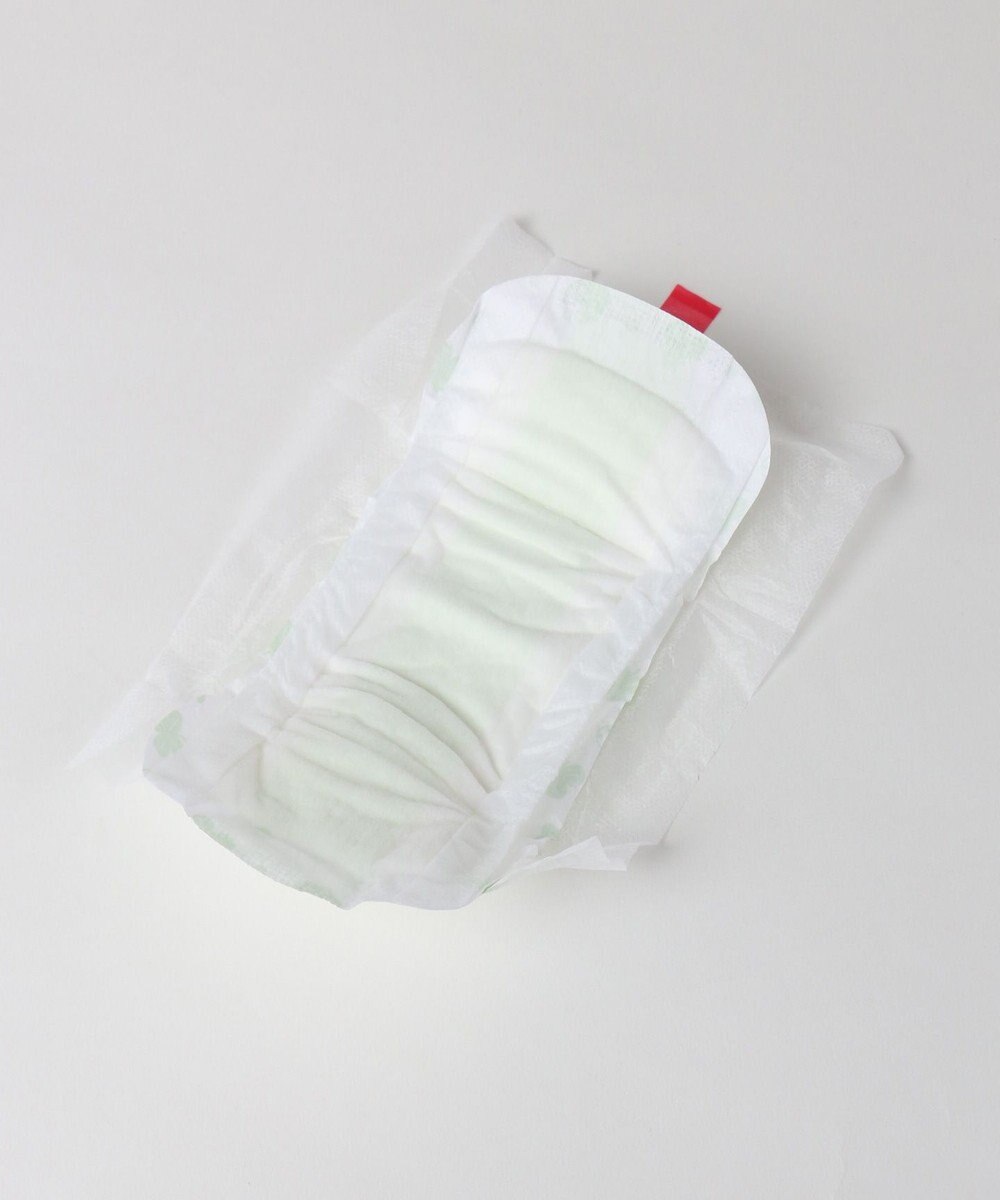 PET PARADISE ペティソワン　わんちゃん用マナーパッド（大）16枚入り 