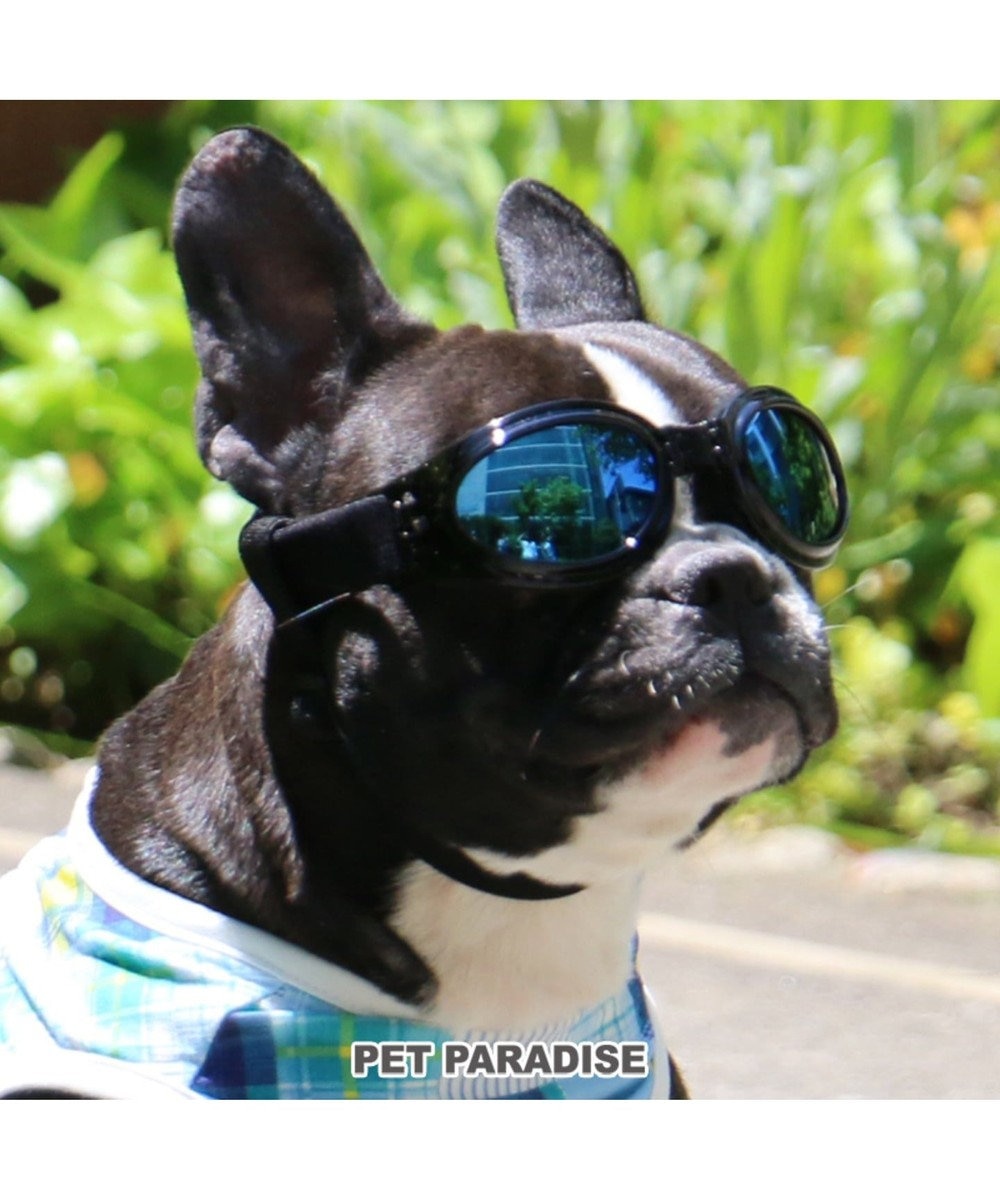 ペットパラダイス ペット用ゴーグル メタリック 黒 Pet Paradise 通販 雑貨とペット用品の通販サイト マザーガーデン ペットパラダイス ペットパラダイス ペット用ゴーグル メタリック 黒 Pet Paradise 通販 雑貨とペット用品の通販サイト マザーガーデン ペットパラダイス