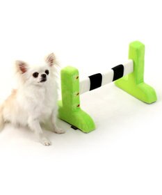 PET PARADISE ペットパラダイス ぴょんぴょんハードル 犬用おもちゃ