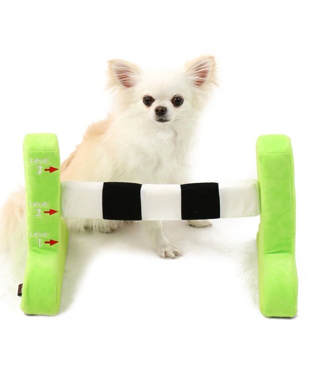 PET PARADISE ペットパラダイス ぴょんぴょんハードル 犬用おもちゃ 黄緑