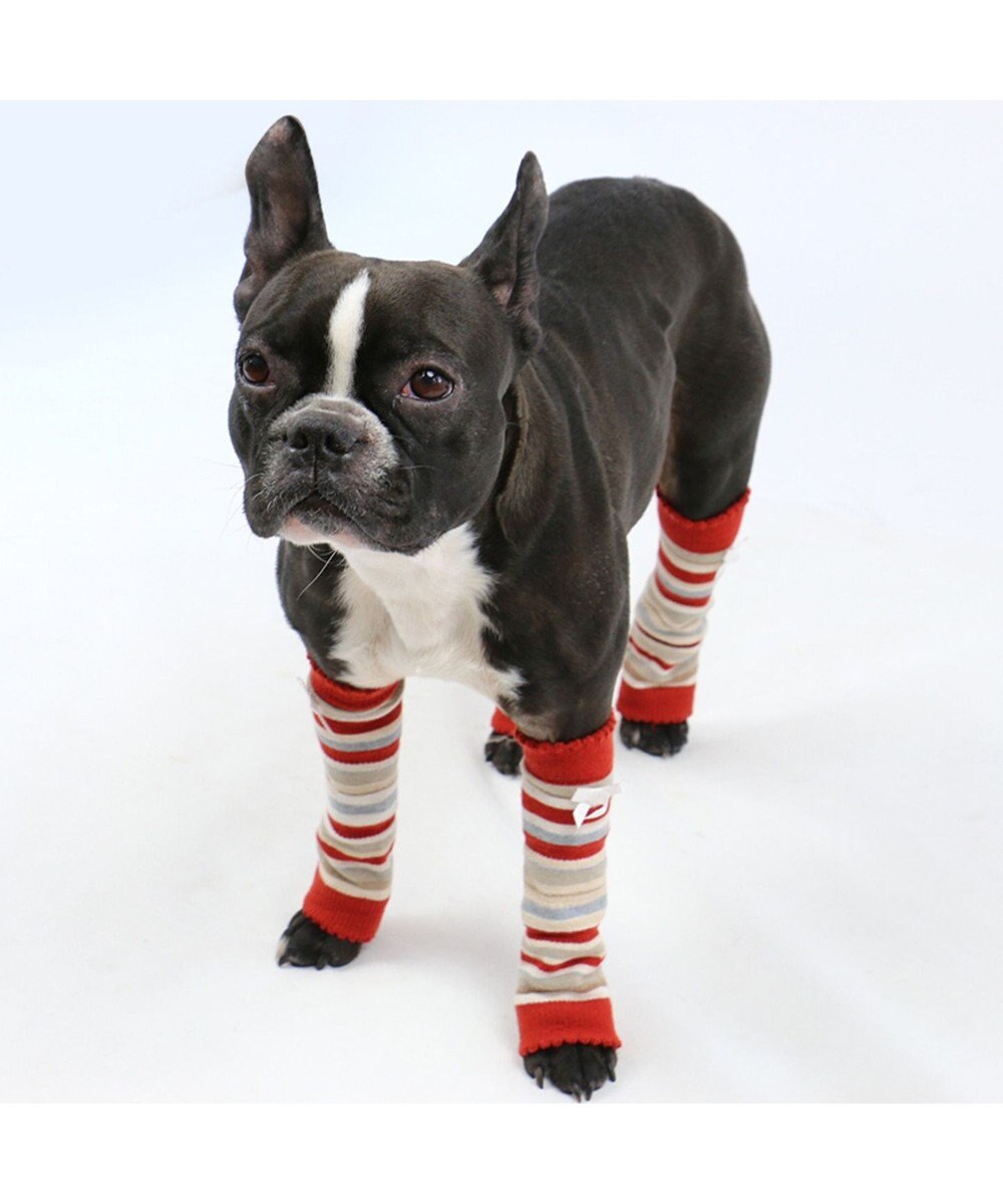 ペットパラダイス レッグウォーマー 赤 ペットsm Pet Paradise 通販 雑貨とペット用品の通販サイト マザーガーデン ペットパラダイス