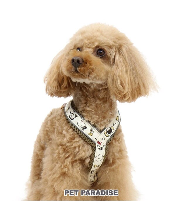 犬用品 ペットグッズ お散歩 ペットパラダイス 犬 ハーネス スヌーピー ｓｓ アクティブハーネス 小型犬 おさんぽ おでかけ お出掛け おしゃれ オシャレ かわいい キャラクター Pet Paradise 通販 雑貨とペット用品の通販サイト マザーガーデン ペット