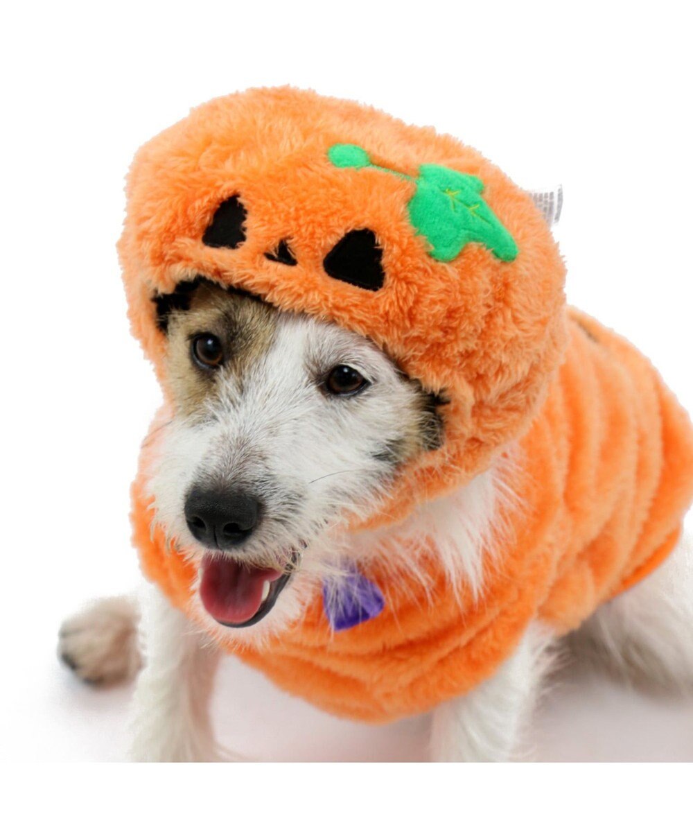 ペットパラダイス かぼちゃ こうもり 帽子 小型犬 Pet Paradise 通販 雑貨とペット用品の通販サイト マザーガーデン ペットパラダイス