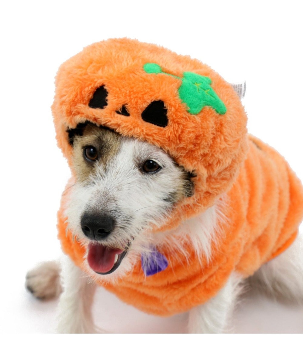 ペットパラダイス かぼちゃ こうもり 帽子 小型犬 Pet Paradise 通販 雑貨とペット用品の通販サイト マザーガーデン ペットパラダイス ペットパラダイス かぼちゃ こうもり 帽子 小型犬 Pet Paradise 通販 雑貨とペット用品の通販サイト マザーガーデン ペットパラダイス