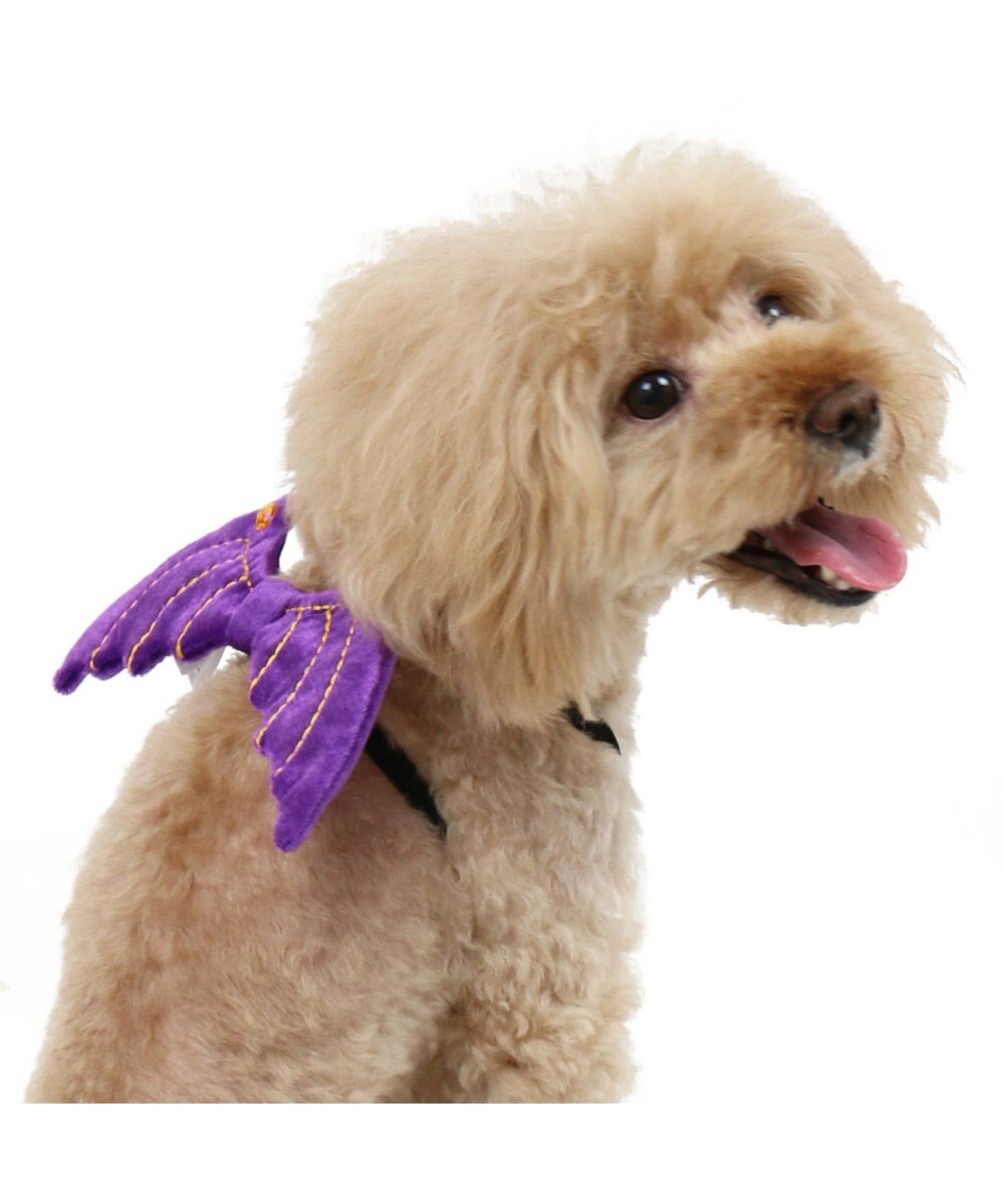 ペットパラダイス ハロウィン 悪魔の羽 ゴム 小型犬 Pet Paradise 通販 雑貨とペット用品の通販サイト マザーガーデン ペットパラダイス
