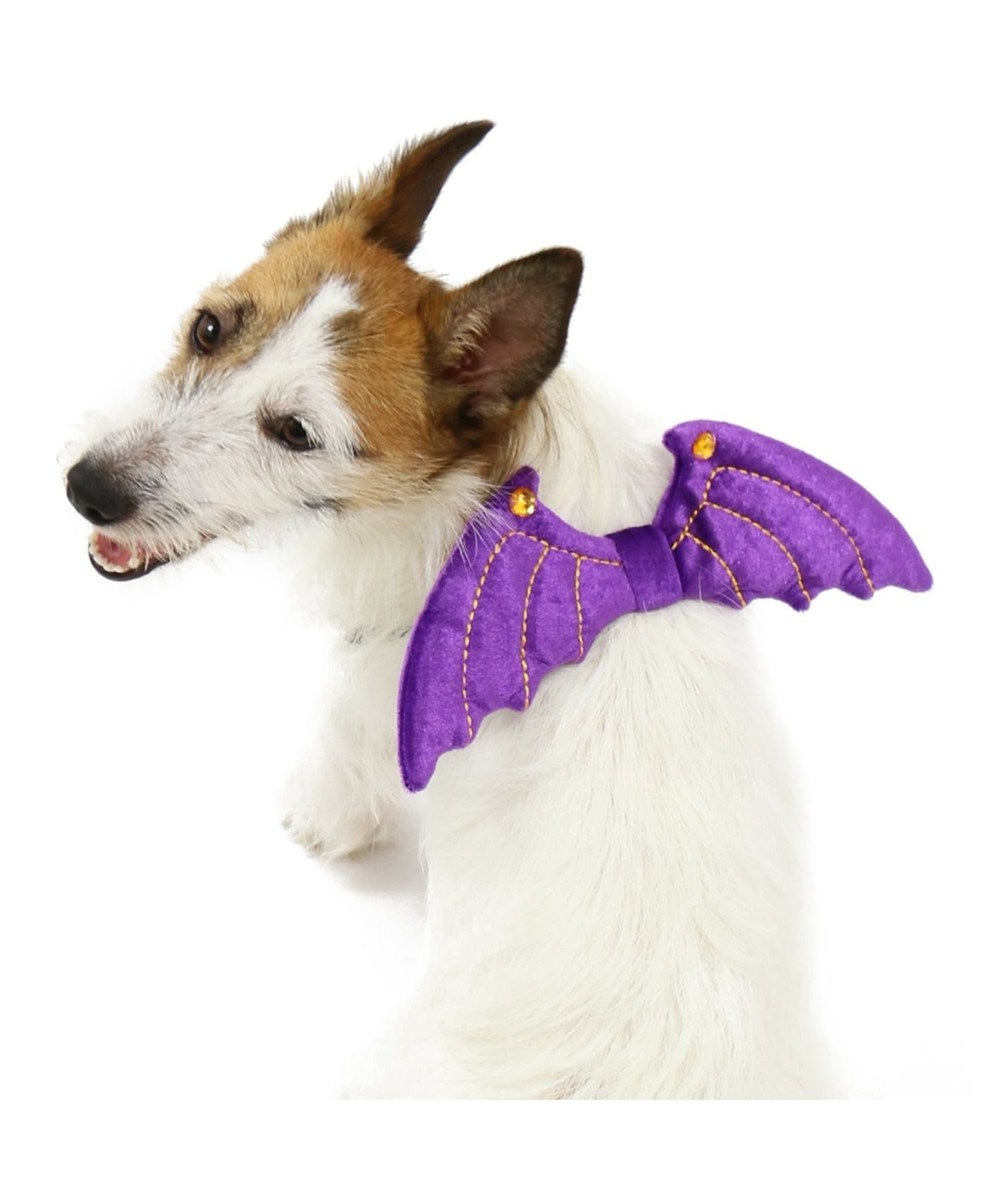 ペットパラダイス ハロウィン 悪魔の羽 ゴム 大型犬 Pet Paradise 通販 雑貨とペット用品の通販サイト マザーガーデン ペットパラダイス