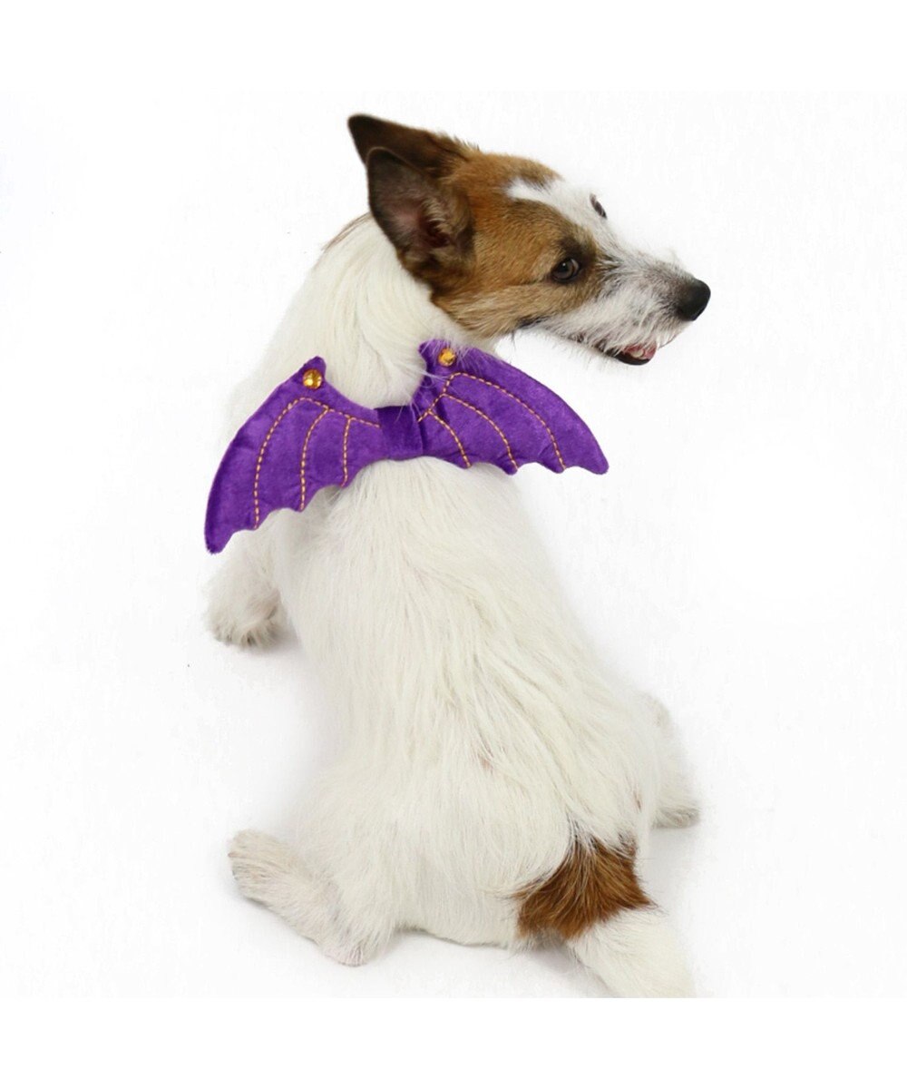 ペットパラダイス ハロウィン 悪魔の羽 ゴム 大型犬 Pet Paradise 通販 雑貨とペット用品の通販サイト マザーガーデン ペットパラダイス