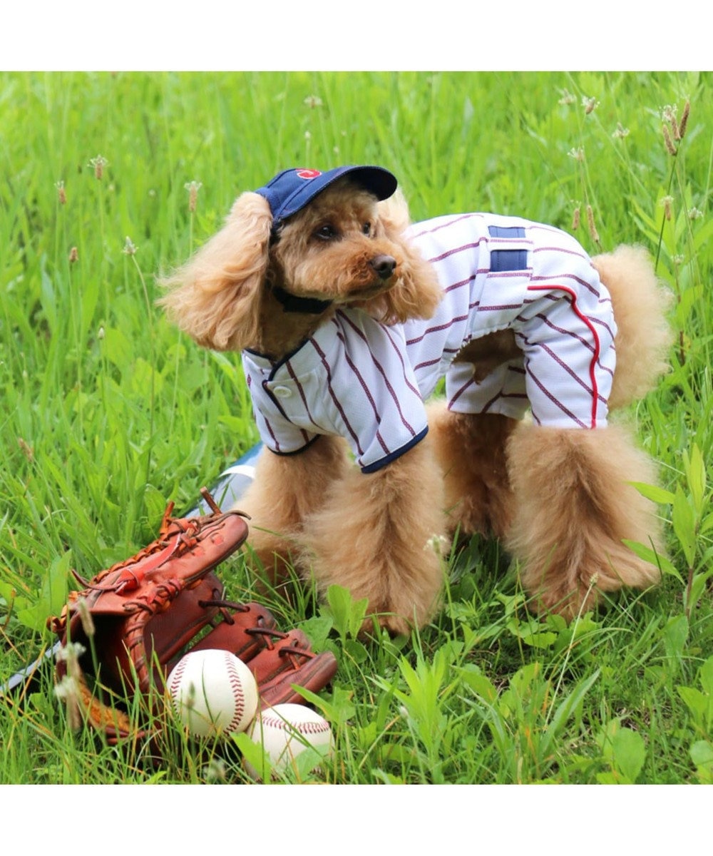 野球日本代表侍ジャパン ユニフォーム パンツつなぎ 小型犬 Pet Paradise 通販 雑貨とペット用品の通販サイト マザーガーデン ペットパラダイス
