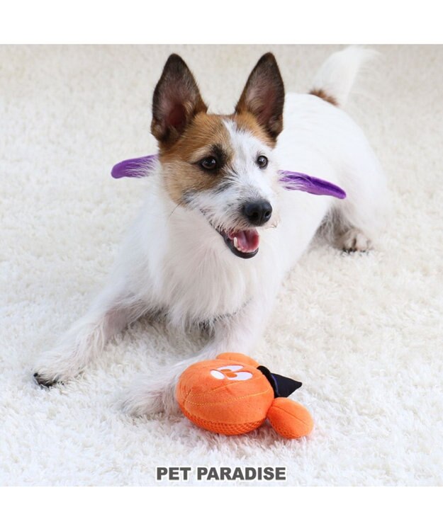 ディズニー ミッキーマウス 犬用おもちゃ ハロウィン 音が鳴る Pet Paradise 通販 雑貨とペット用品の通販サイト マザーガーデン ペットパラダイス