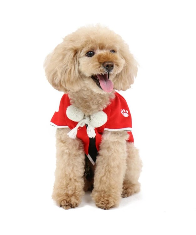 ペットパラダイス 羽織袴 赤 小型犬 お正月 年賀状 Pet Paradise 通販 雑貨とペット用品の通販サイト マザーガーデン ペットパラダイス