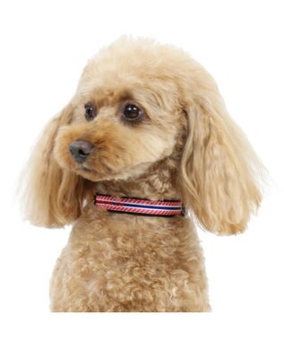 ペットパラダイス ロゴ ボーダー 首輪 赤 S 小型犬 Pet Paradise 通販 雑貨とペット用品の通販サイト マザーガーデン ペットパラダイス