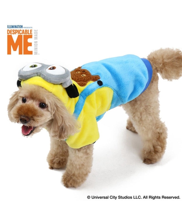 ミニオン 変身なりきり服 ボブ パーカー 小型犬 Pet Paradise 通販 雑貨とペット用品の通販サイト マザーガーデン ペットパラダイス