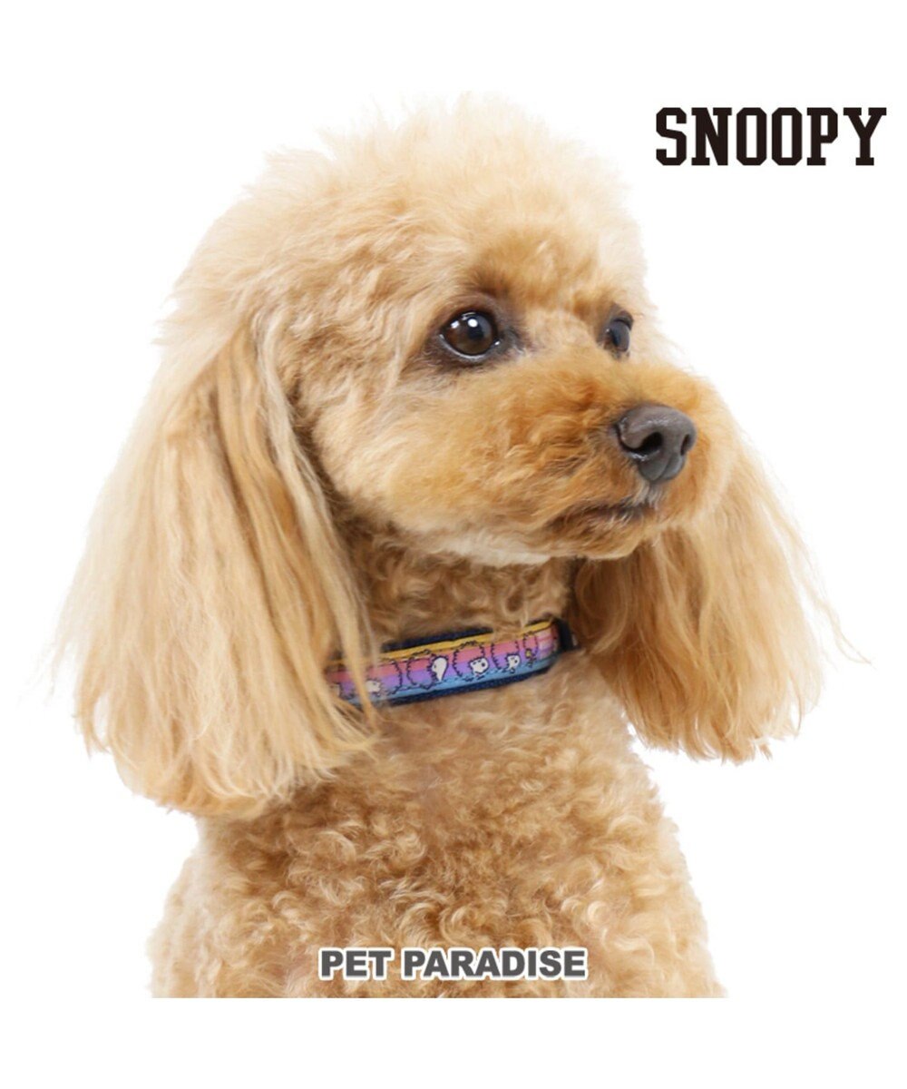 スヌーピー 首輪 アフロ柄 ペット3s Pet Paradise 通販 雑貨とペット用品の通販サイト マザーガーデン ペットパラダイス