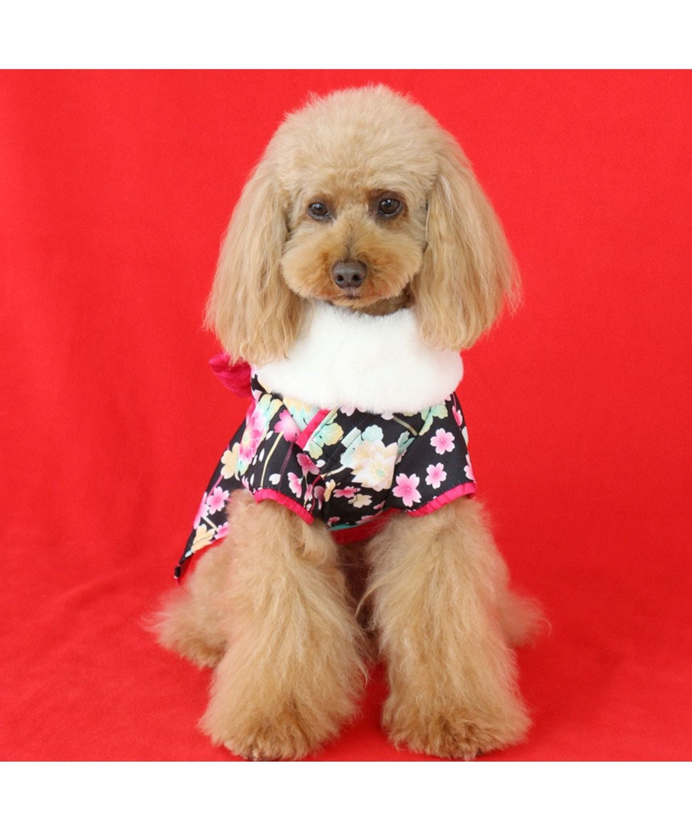 ペットパラダイス 着物 黒 小型犬 新年 年賀状 七五三 Pet Paradise 通販 雑貨とペット用品の通販サイト マザーガーデン ペットパラダイス