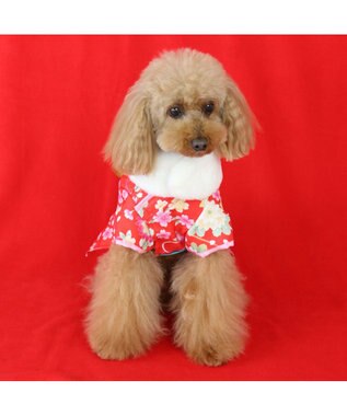 ペットパラダイス 着物 赤 小型犬 お正月 新年 子年 年賀状 Pet Paradise 通販 雑貨とペット用品の通販サイト マザーガーデン ペットパラダイス