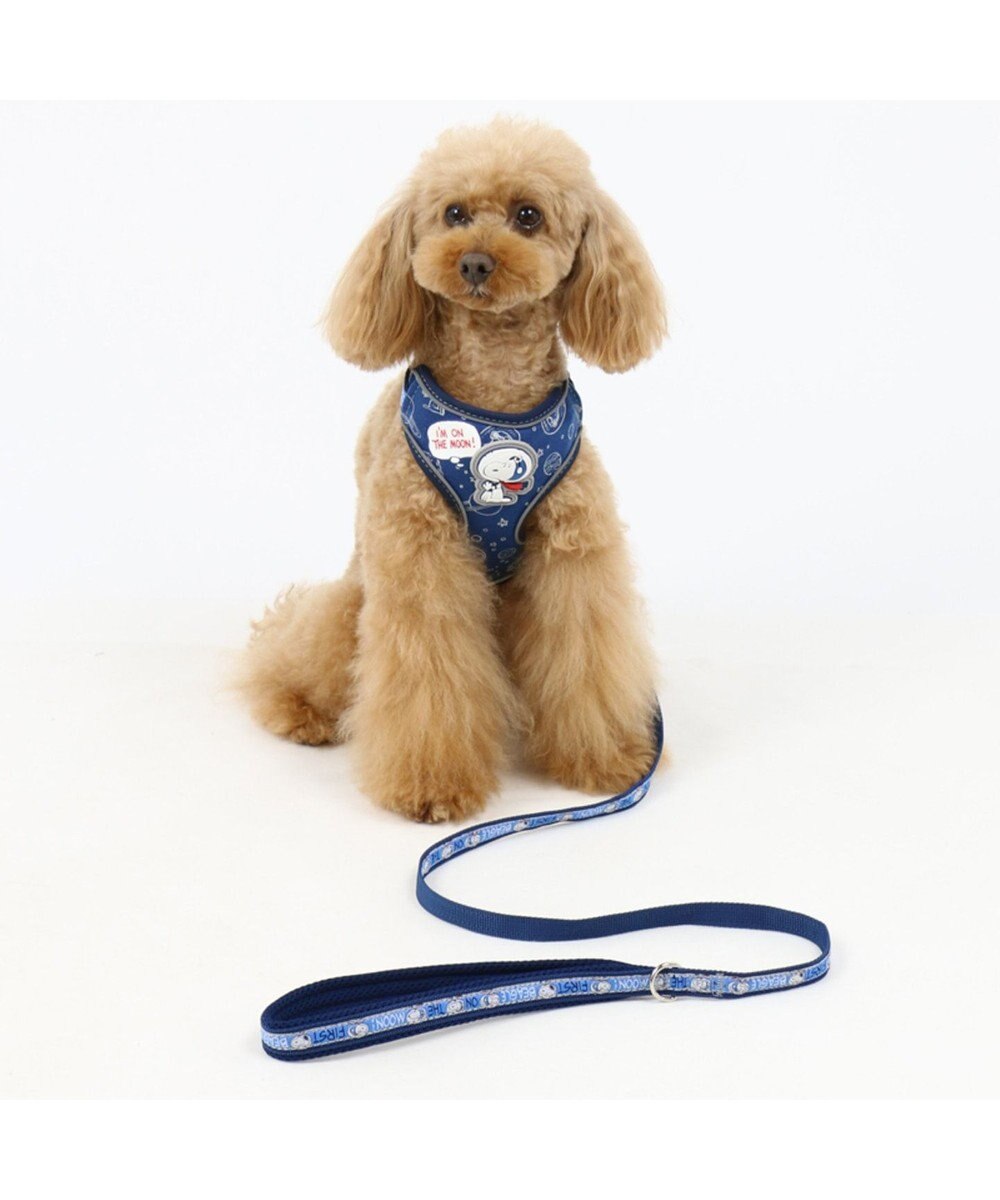 犬用品 ペットグッズ お散歩 ペットパラダイス 犬 リード スヌーピー ｍ ｌ アストロ 大型犬 おさんぽ おでかけ お出掛け おしゃれ オシャレ かわいい キャラクター Pet Paradise 通販 雑貨とペット用品の通販サイト マザーガーデン ペットパラダイス