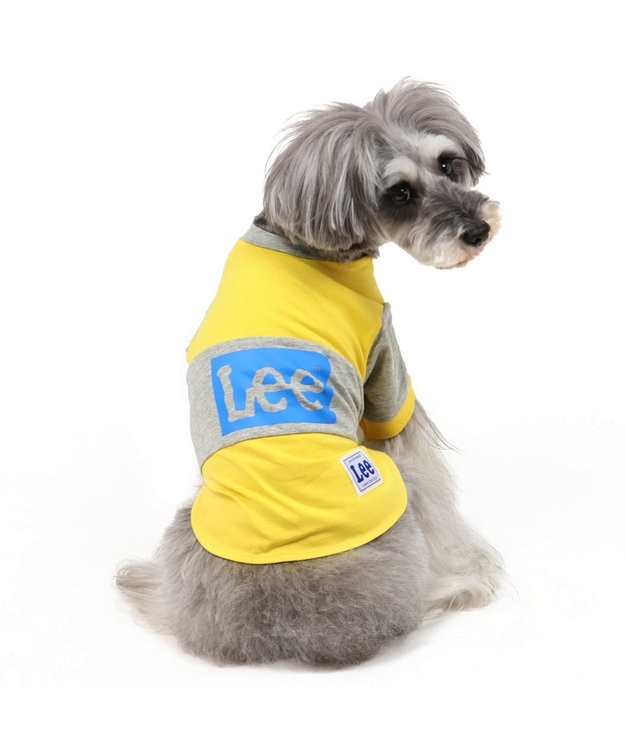 Lee ボックス ロゴ Tシャツ 黄色 小型犬 Pet Paradise 通販 雑貨とペット用品の通販サイト マザーガーデン ペットパラダイス Lee ボックス ロゴ Tシャツ 黄色 小型犬 Pet Paradise 通販 雑貨とペット用品の通販サイト マザーガーデン ペットパラダイス