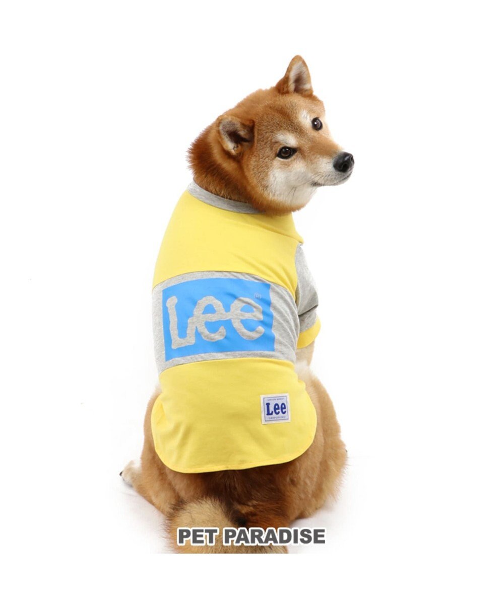 Lee ボックス ロゴ Tシャツ 黄色 中 大型犬 Pet Paradise 通販 雑貨とペット用品の通販サイト マザーガーデン ペットパラダイス Lee ボックス ロゴ Tシャツ 黄色 中 大型犬 Pet Paradise 通販 雑貨とペット用品の通販サイト マザーガーデン ペットパラダイス