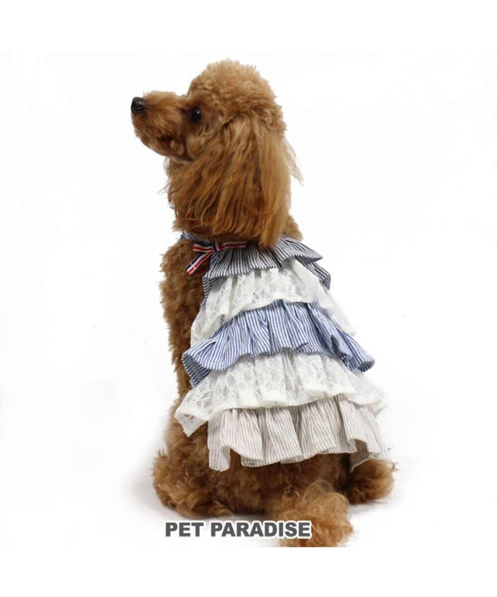 ペットパラダイス フリル ワンピース ボーダー 小型犬 Pet Paradise 通販 雑貨とペット用品の通販サイト マザーガーデン ペットパラダイス