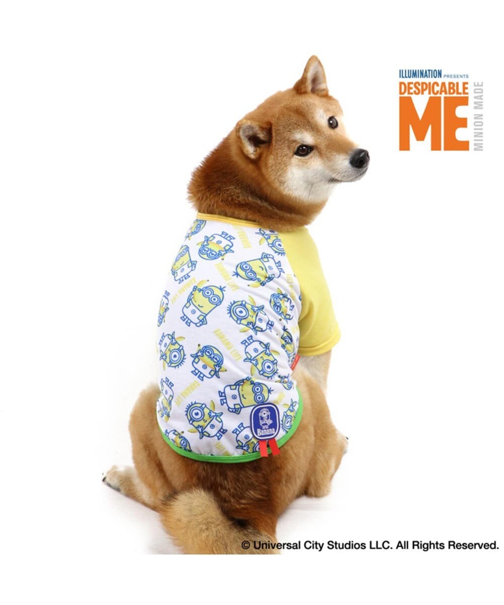 ミニオン バナナ Tシャツ 中型犬 Minion Pet Paradise 通販 雑貨とペット用品の通販サイト マザーガーデン ペットパラダイス ミニオン バナナ Tシャツ 中型犬 Minion Pet Paradise 通販 雑貨とペット用品の通販サイト マザーガーデン ペットパラダイス