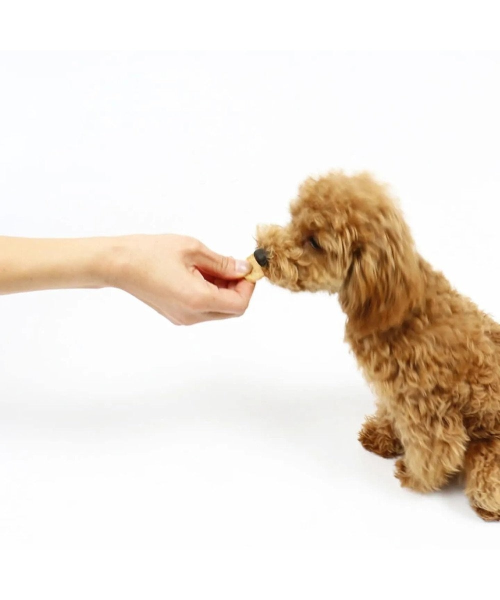 ペティディッシュ 犬用おやつ 国産ささみおからチップ Pet Paradise 通販 雑貨とペット用品の通販サイト マザーガーデン ペットパラダイス