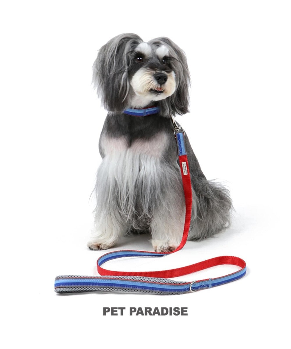 PET PARADISE ペットパラダイス 切替首輪＆リード 青 〔小型犬〕 ペット4S/3S/SS/S 犬具 青