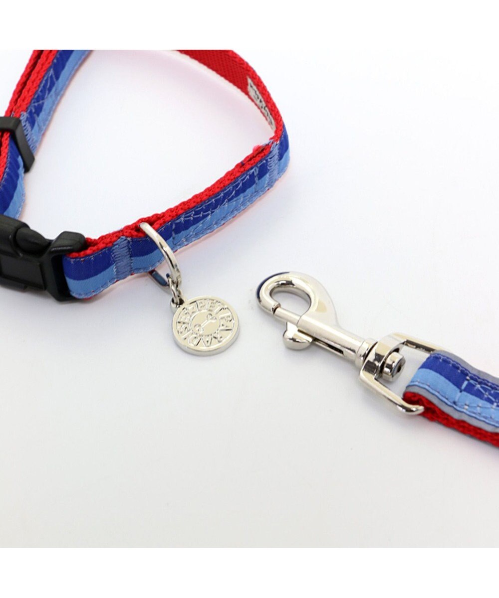 ペットパラダイス 切替首輪＆リード 青 〔小型犬〕 ペット4S/3S/SS/S 犬具 / PET PARADISE |  【通販】雑貨とペット用品の通販サイト | マザーガーデン＆ペットパラダイス