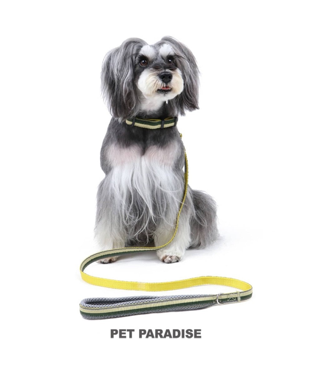 PET PARADISE ペットパラダイス 切替首輪＆リード 緑 〔中・大型犬〕ペットSM/M/L 犬具 黄緑