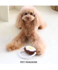 PET PARADISE なりきりペッツ 犬用おもちゃ ハンバーグトイ