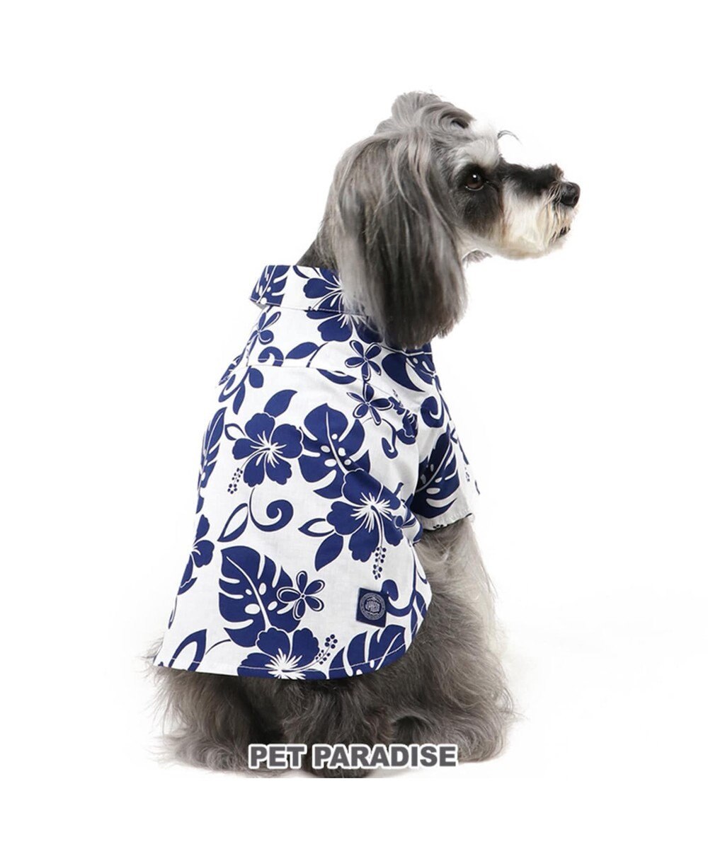 J Press ハワイアン シャツ 小型犬 Pet Paradise 通販 雑貨とペット用品の通販サイト マザーガーデン ペットパラダイス