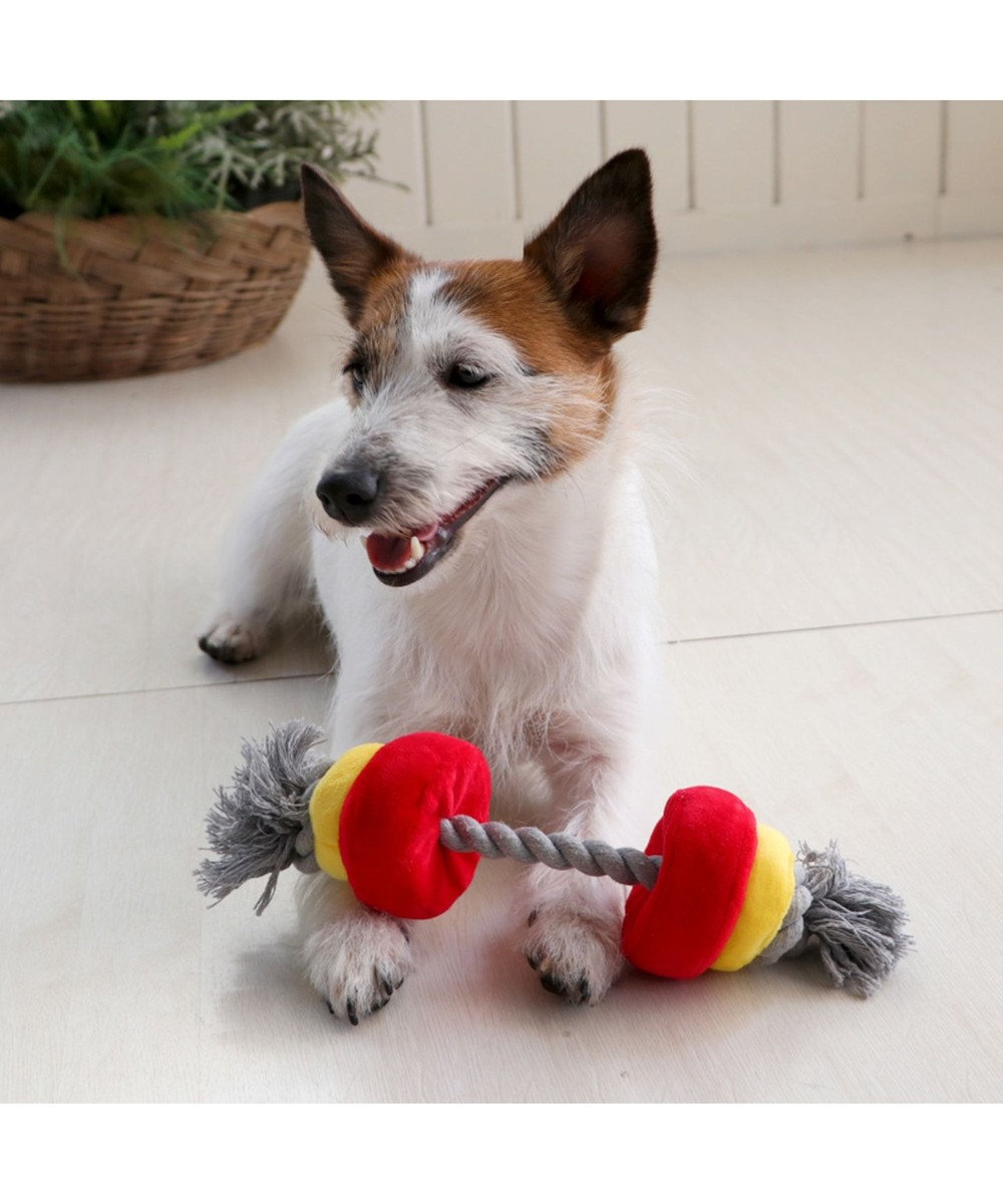 PET PARADISE ペットパラダイス バーベル 赤 犬用おもちゃ おもちゃ トイ 赤