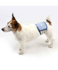 PET PARADISE 犬服 犬用品 ペットグッズ ペットウェア ペットパラダイス  ディズニー プルート マナーベルト【小型犬】 | 男の子 ペットウエア ドッグウエア 抗菌 防臭 マーキング 防止おもらし おしゃれ かわいい トイレ用品 マナーバンド マーキング防止 介護用品