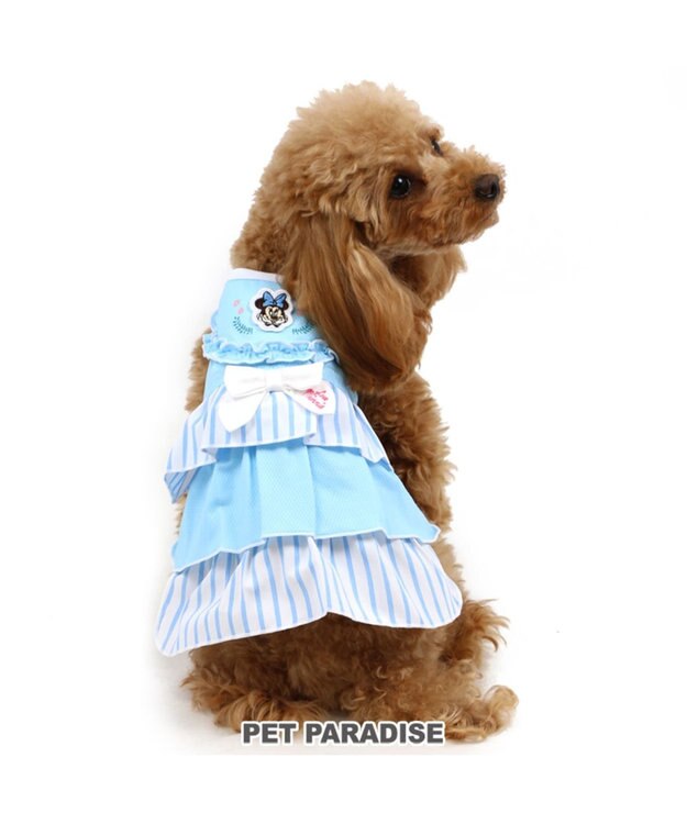ミニーマウス ポケットクール ワンピース 超小型 小型犬 Pet Paradise 通販 雑貨とペット用品の通販サイト マザーガーデン ペットパラダイス