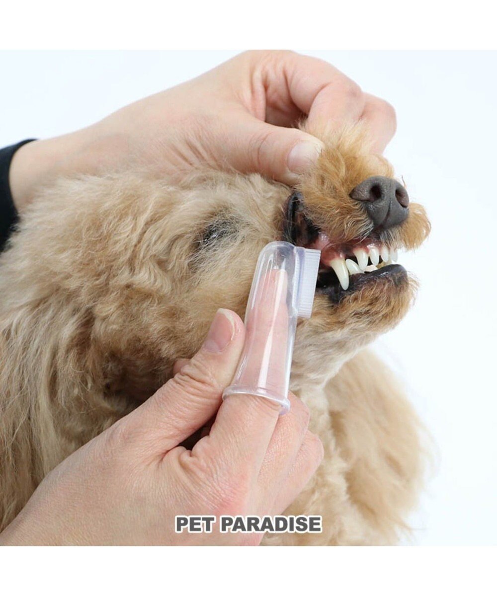 犬猫用 ハブラシ 2個セット シリコン製　歯ブラシ 犬　猫　はぶらし