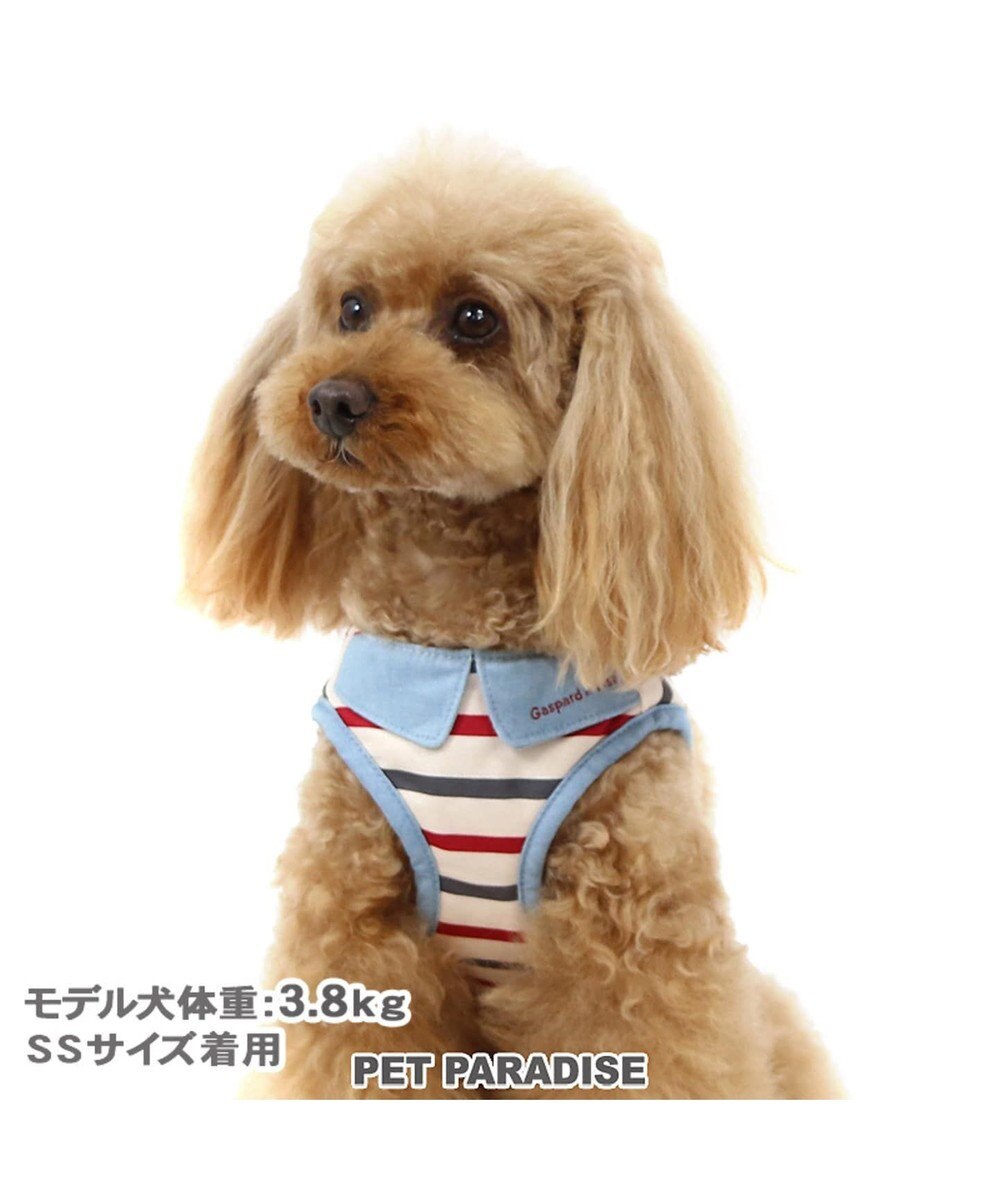 犬用品 ペットグッズ お散歩 ペットパラダイス 犬 ハーネス リサとガスパール ３ｓ ボーダー ベストハーネス 小型犬 おさんぽ おでかけ お出掛け おしゃれ オシャレ かわいい キャラクター Pet Paradise 通販 雑貨とペット用品の通販サイト マザーガーデン