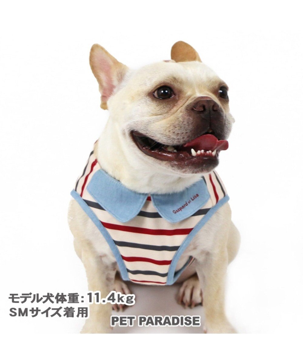 リサとガスパール ボーダー ベストハーネス S 小型犬 Pet Paradise 通販 雑貨とペット用品の通販サイト マザーガーデン ペットパラダイス
