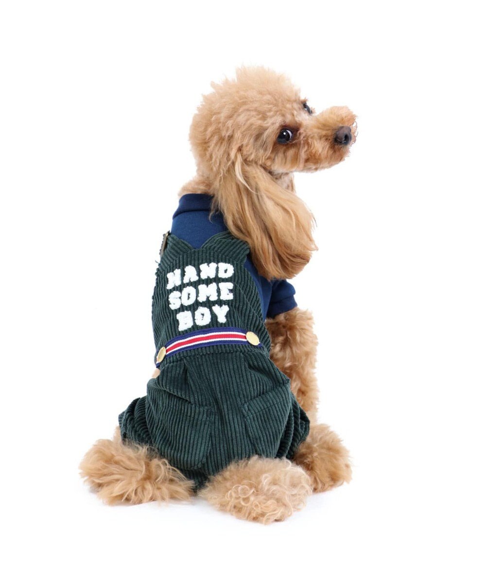 ペットパラダイス タウンパンツ付き上下 超小型 小型犬 Pet Paradise 通販 雑貨とペット用品の通販サイト マザーガーデン ペットパラダイス