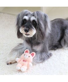 PET PARADISE ペットパラダイス 犬用おもちゃ　動物おもちゃ くま うさぎ ペット トイ