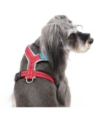 ペットパラダイス アクティブハーネス 赤 ペットs 小型犬 Pet Paradise 通販 雑貨とペット用品の通販サイト マザーガーデン ペットパラダイス
