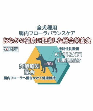 ドッグフード ドライフード リアルフード フローラ 1kg Pet Paradise 通販 雑貨とペット用品の通販サイト マザーガーデン ペットパラダイス ドッグフード ドライフード リアルフード フローラ 1kg Pet Paradise 通販 雑貨とペット用品の通販サイト マザーガーデン ペットパラダイス