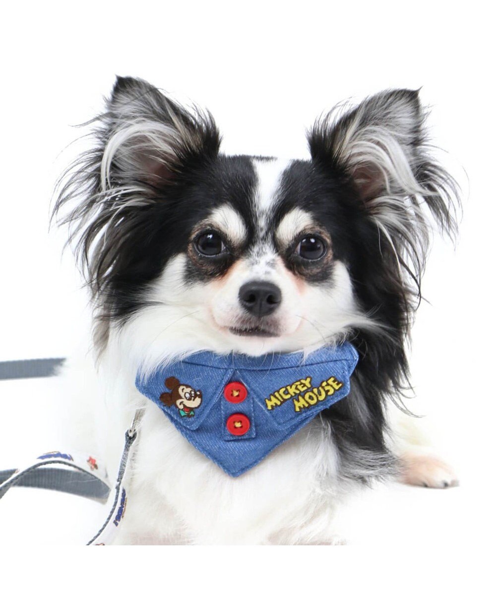 ディズニー ミッキーマウス フレンズ 首輪 ペットs 小型犬 Pet Paradise 通販 雑貨とペット用品の通販サイト マザーガーデン ペットパラダイス