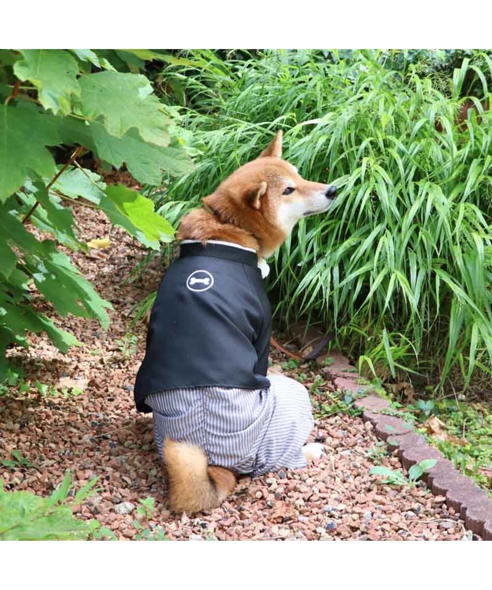 ペットパラダイス 紋付袴 中 大型犬 Pet Paradise 通販 雑貨とペット用品の通販サイト マザーガーデン ペットパラダイス