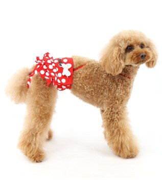 PET PARADISE ディズニー ミニーマウス サニタリーパンツ　ドット柄 ペットS 赤