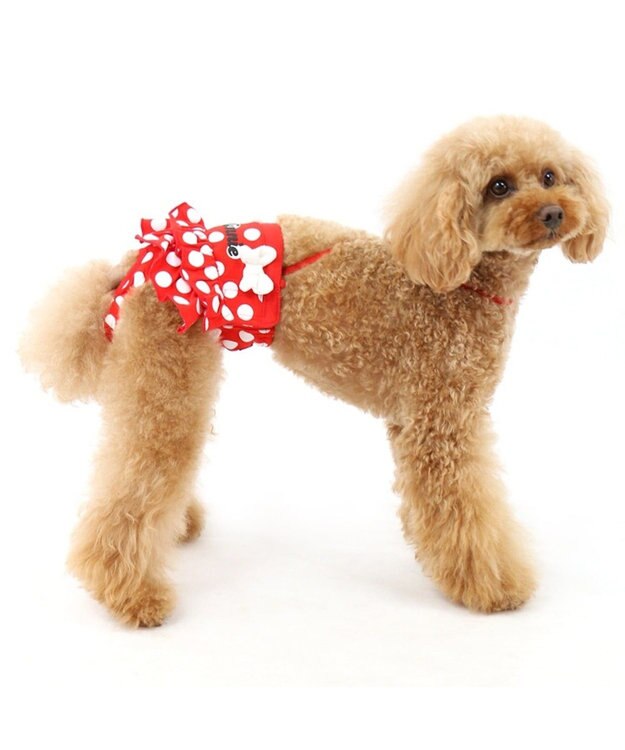 PET PARADISE ディズニー ミニーマウス サニタリーパンツ　ドット柄 ペットS 赤