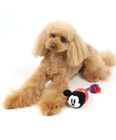 PET PARADISE ディズニー ミッキーマウス ぽておもちゃ 犬用 トイ