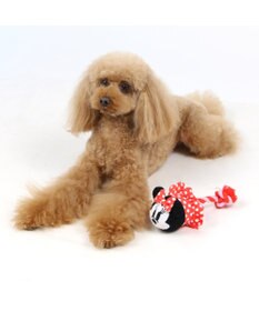 PET PARADISE ディズニー ミニーマウス ぽておもちゃ　犬用 トイ