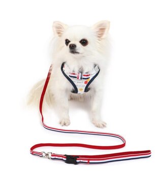 リサとガスパール 風船柄 ハーネスリード 3s 超小型犬 Pet Paradise 通販 雑貨とペット用品の通販サイト マザーガーデン ペットパラダイス