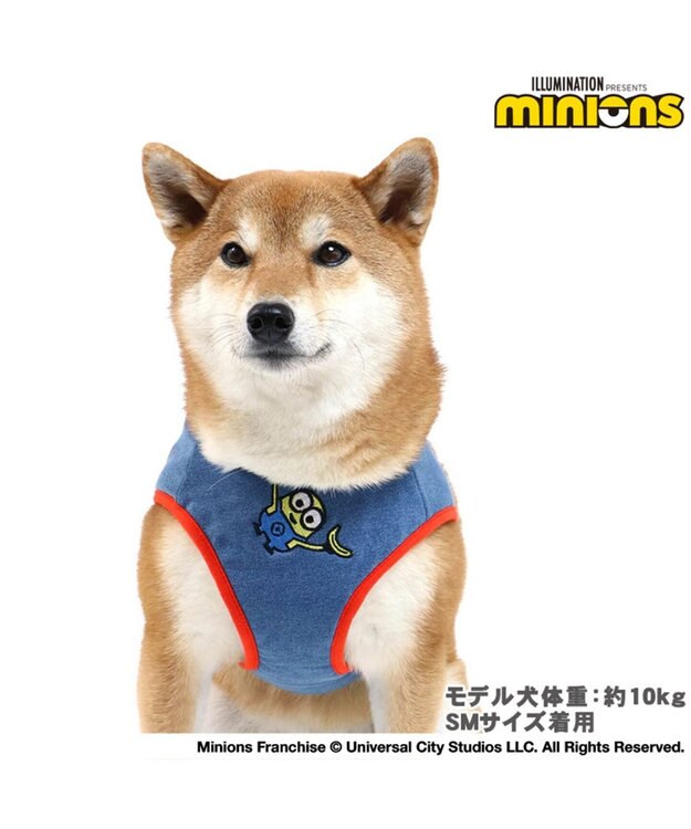 PET PARADISE 【訳あり・SALE・アウトレット・返品交換不可】ミニオン ベスト ハーネス SM 〔中型犬〕 青