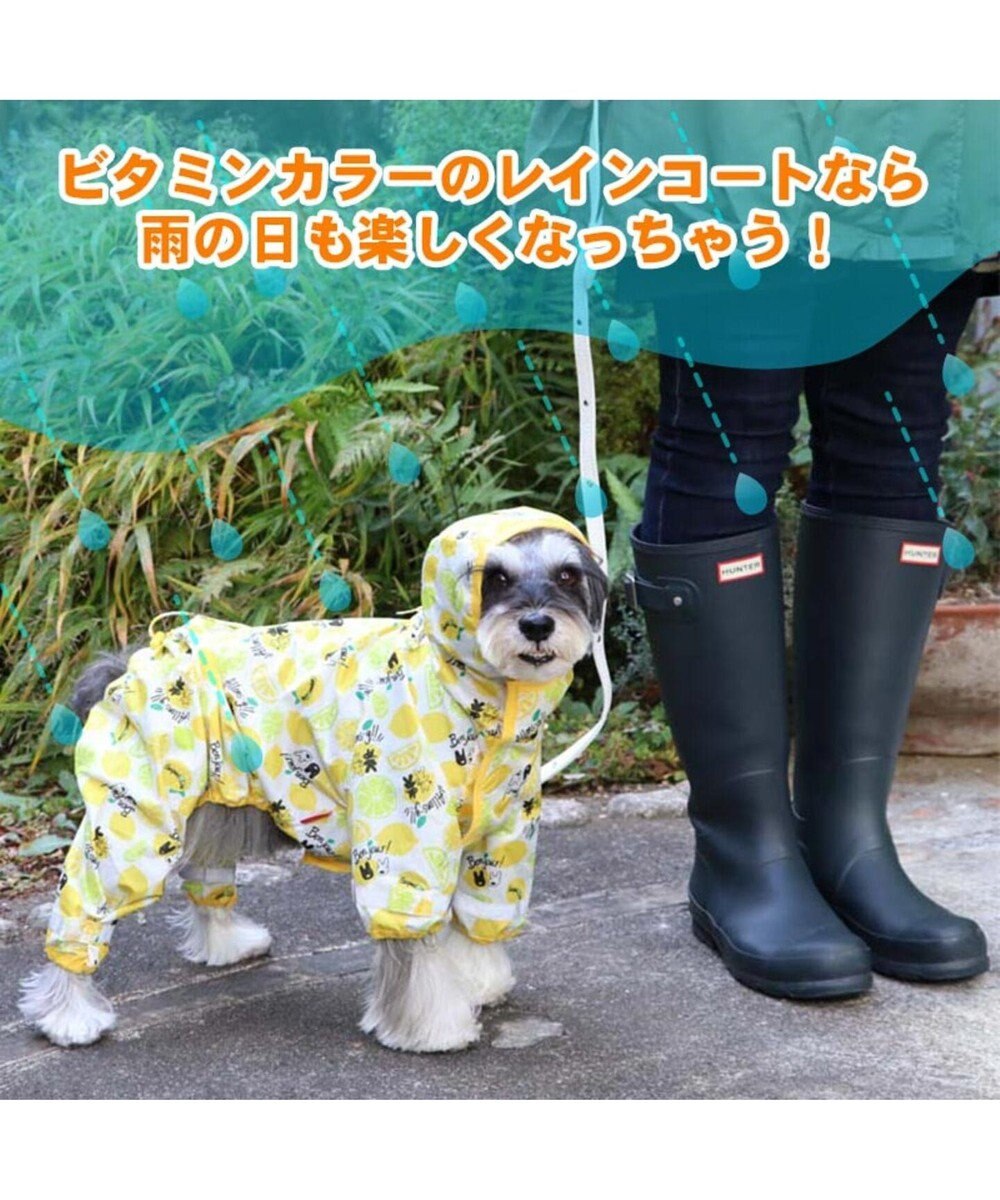 PET PARADISE 犬服 犬用品 ペットグッズ ペットウェア ペットパラダイス 犬 服 春 リサとガスパール レインコート フルカバータイプ 【小型犬】 シトロン柄 ドッグウエア ドッグウェア いぬ イヌ おしゃれ かわいい 